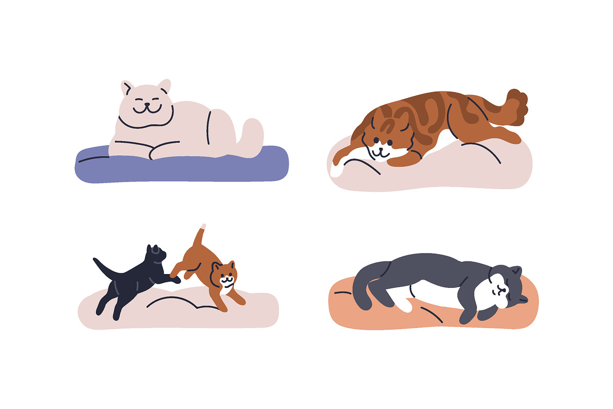 Cute cats on pet beds, cushions set, an Animal Illustration by Good Studio (Photo 3 of 5)