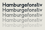 HAUS Sans Bold, a Sans Serif Font by MARTINI Type Designer (Thumbnail 2 of 5)