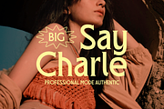 Sholes Font, a Serif Font by Marvadesign (Thumbnail 7 of 10)