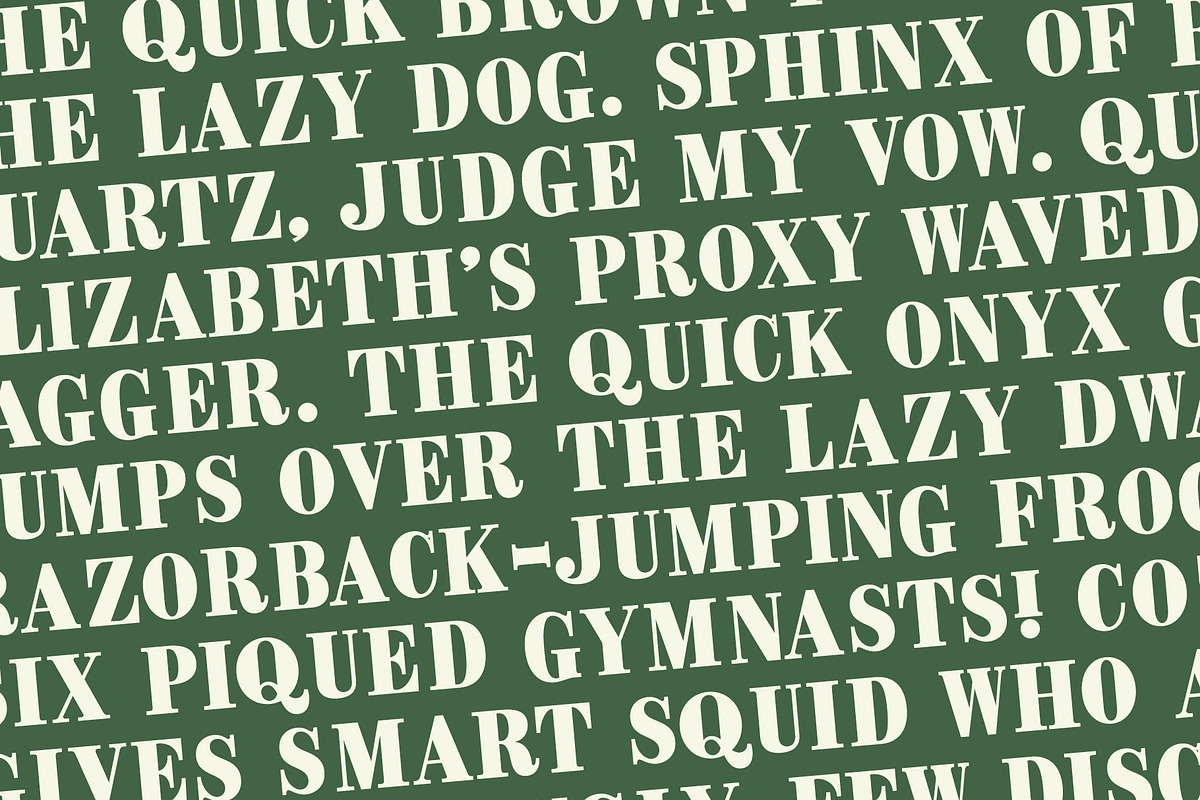 CASH, a Serif Font by Loudoun Design Co. (Photo 6 of 7)