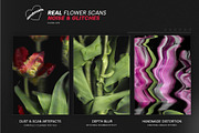 Scanned Tulip Photocopies, a Graphic by Pásha (Thumbnail 2 of 5)