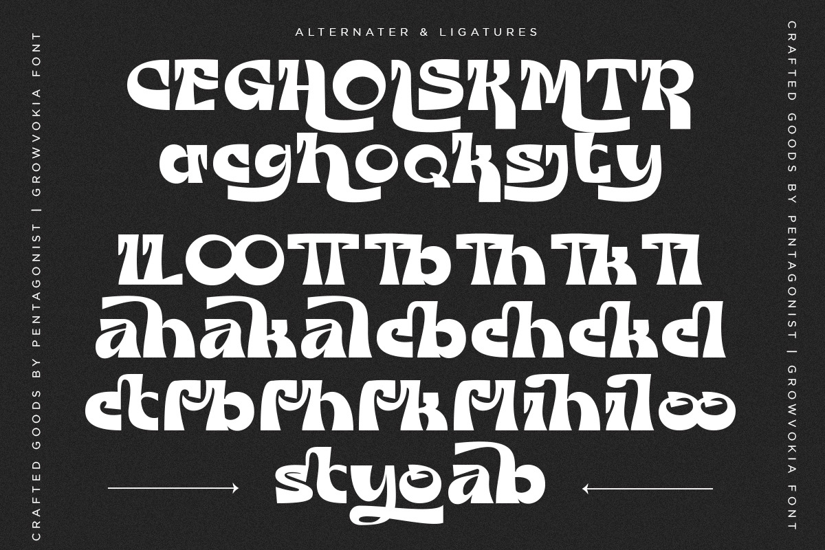 GROWVOKIA | Groovy Display, a Serif Font by Pentagonistudio (Photo 9 of 10)