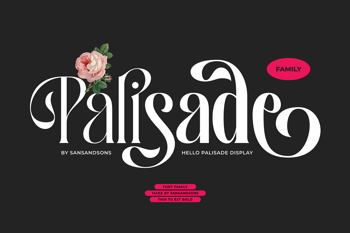 Hello Palisade Family, a Serif Font by Sans & Sons (Photo 2 of 10)