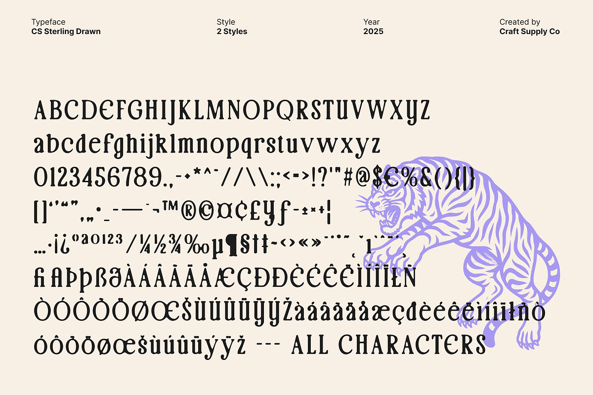 CS Sterling Drawn, a Serif Font by Craft Supply Co. (Photo 8 of 8)