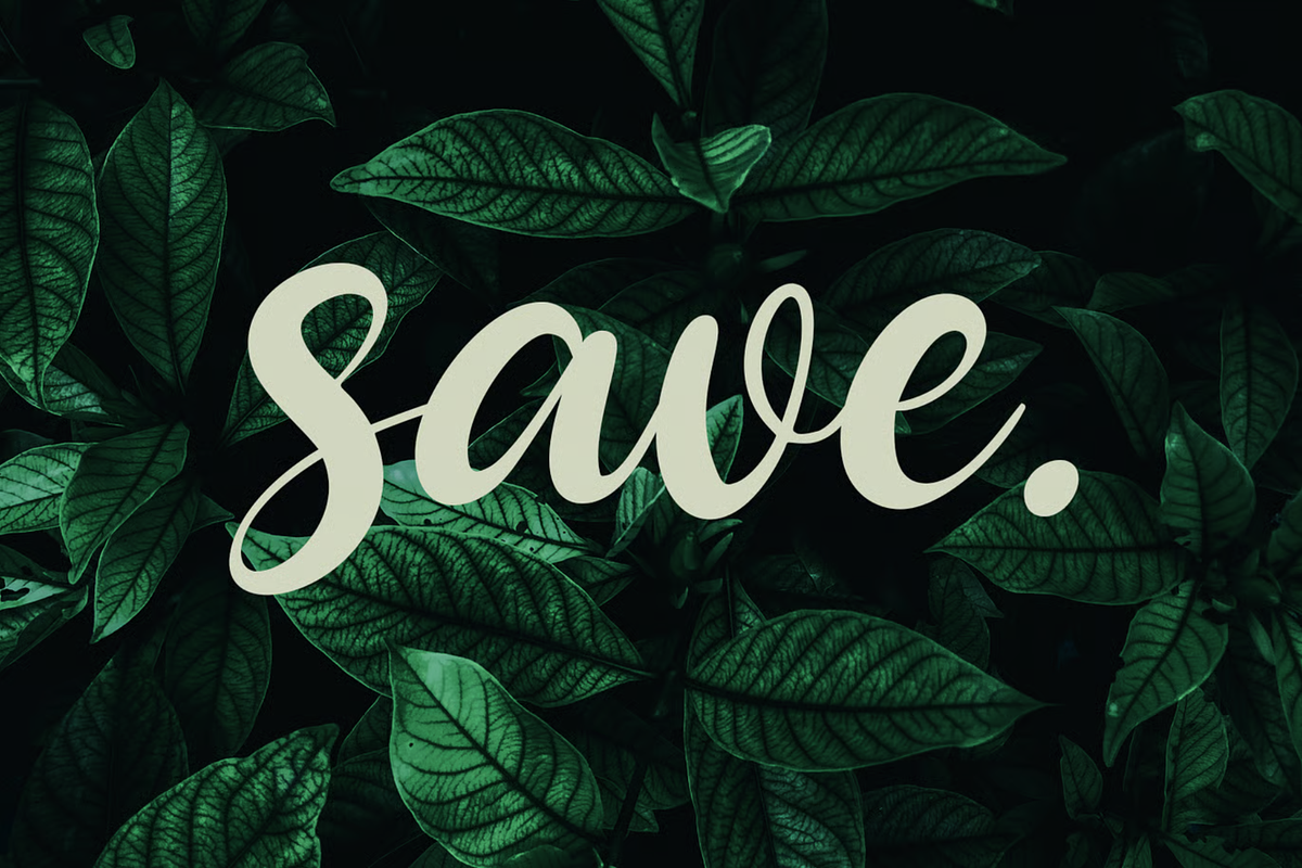 Chime Bells Beauty Script Font, a Script Font by MACK 75 (Photo 10 of 10)