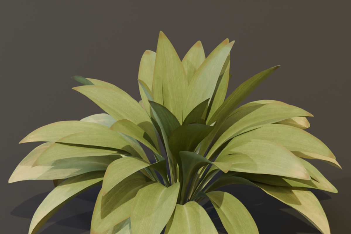 The Haran Bush, a Plants & Tree 3D Model by FuturePastCreatives (Photo 5 of 13)