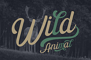 The Paiton -Modern Script Font, a Script Font by Morisco (Thumbnail 5 of 9)