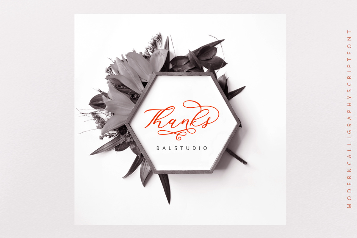 Ladies Style, a Script Font by balstudio (Photo 8 of 8)