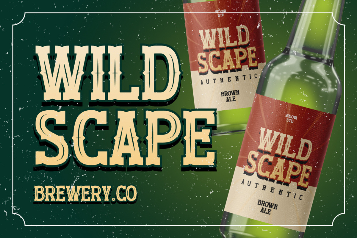 Wildscape Vintage Western Serif Font, a Slab Serif Font by Vadovastd (Photo 4 of 7)