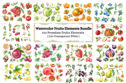 Watercolor Fruits Elements Bundle, a Food Illustration by Stellalunarts