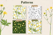 Flowers Buttercup. Sketch flowers, an Illustration by irina.vaneeva (Thumbnail 4 of 6)