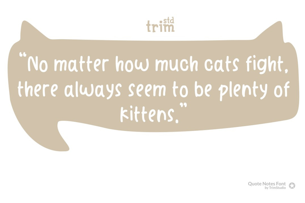 Quote Notes Quirky Handwritten, a Sans Serif Font by TrimStudio (Photo 3 of 8)