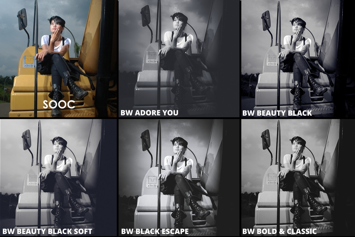 The Black White 30 Lr Collection preview 5