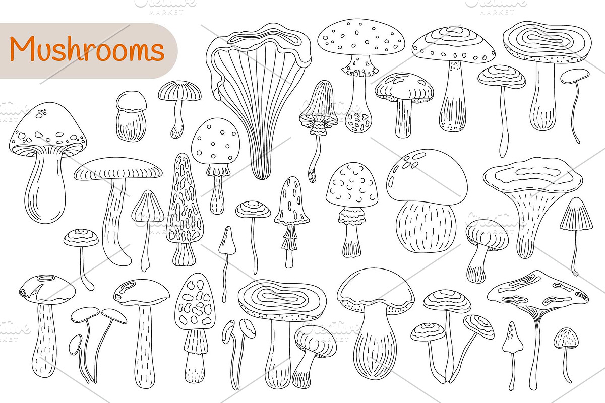 Mushroom Harvest Autumn Doodle Set, a Seasonal Illustration by Contes_de_fée (Photo 2 of 9)