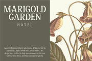 Nakota - Modern Clean Serif Font, a Serif Font by Pekotype (Thumbnail 6 of 15)