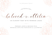 Beloved Ottilia Font + Free Logos, a Script Font by SNIPESCIENTIST (Thumbnail 23 of 23)