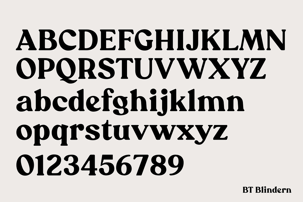 BT Blindern, a Serif Font by BadType (Photo 4 of 9)