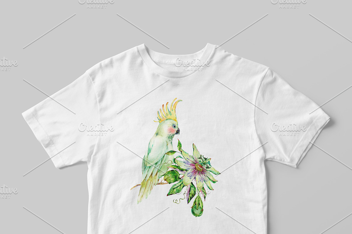 Watercolor white summer, an Illustration by Belusuab (Photo 8 of 8)