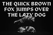 Bokner - Built for Impact, a Serif Font by Valentino Vergan (Thumbnail 8 of 14)