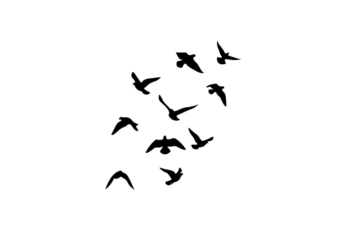 Boho Feather Silhouette Vector, an Object Graphic by jahid234 (Photo 5 of 51)