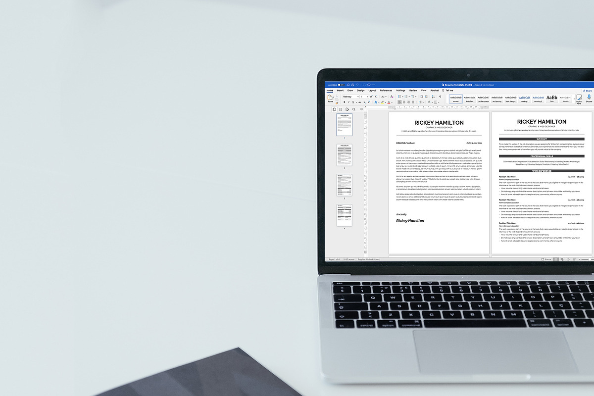 Professional CV Resume Template