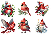 Cute Christmas Cardinal Clipart, an Illustration by Designworld (Thumbnail 3 of 5)