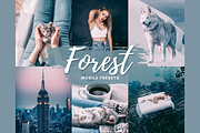 FOREST Mobile Lightroom Presets, an Action Add-On by 123PRESETS.COM (Thumbnail 1 of 9)