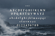Salted Reliquary Dark Display Serif, a Serif Font by foxsong (Thumbnail 4 of 5)