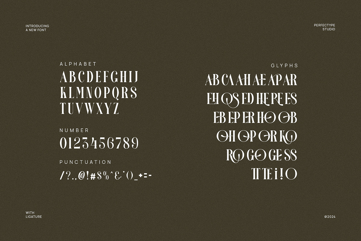 Mioshe Unique and Elegant Serif Font, a Serif Font by Perfectype (Photo 6 of 6)