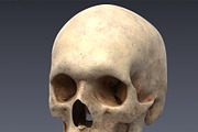 Animated internal organs, skeleton, a Characters & Person 3D Model by konstantin.ermolaev (Thumbnail 14 of 29)