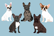 French Bulldog Clipart Illustrations, an Illustration by Putnam Road Art (Thumbnail 2 of 3)
