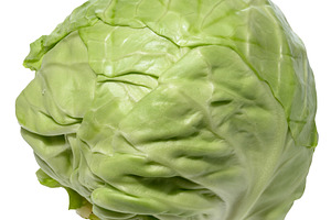Fresh green cabbage isolated on white background, a Food & Drink Photo by ndanko