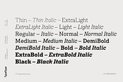 TT Rationalist, a Slab Serif Font by TypeType (Thumbnail 2 of 15)