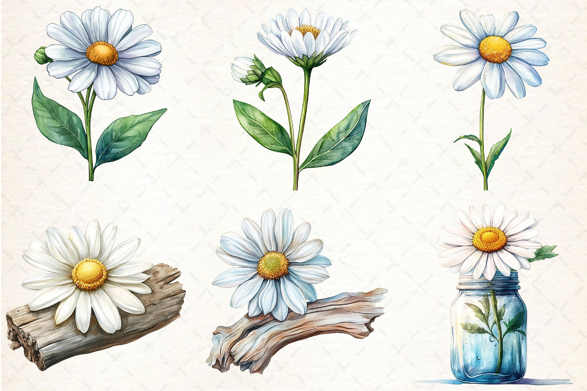 Watercolor Daisy Clipart, an Illustration by Libby Wishes (Photo 3 of 5)