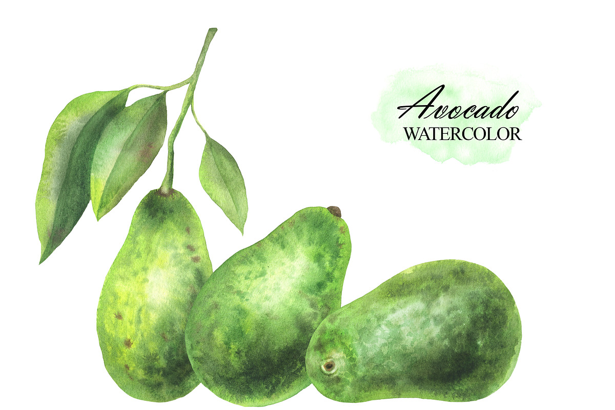 Watercolor avocado clipart, a Food Illustration by OlDm_Shop (Photo 3 of 6)