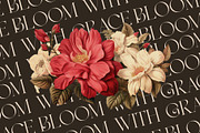 Belyga || Modern Classy Serif Font, a Serif Font by Ermedia Studio (Thumbnail 3 of 10)