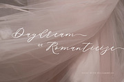 Della Brian - Lovely Wedding Font, a Script Font by Letterhend Studio (Thumbnail 7 of 9)