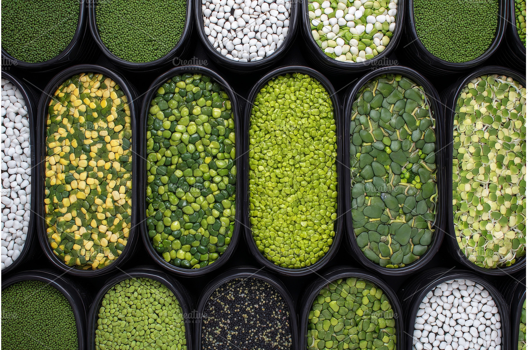 A close-up view from above of a, a Nature Photo by ZinetroN