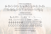 Someone | Script Font, a Handwritten Font by Scratchones (Thumbnail 7 of 9)