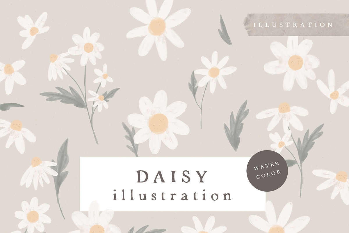 WATERCOLOR DAISY / illustration set, an Illustration by KruthDesign (Photo 1 of 7)