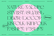 Jamila Stylist Display Serif, a Serif Font by RedyStudio (Thumbnail 4 of 12)