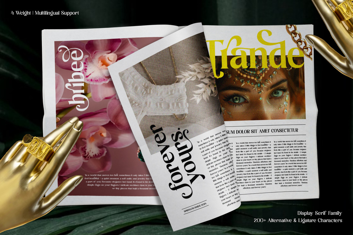 Bolight - Serif Display Font, a Serif Font by Ekahermawan (Photo 5 of 15)