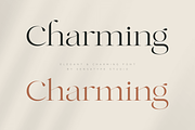 Charming - Classy & Decorative Font, a Serif Font by Sensatype (Thumbnail 21 of 21)
