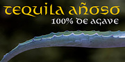 Distel, a Font by Finaltype (Thumbnail 9 of 11)