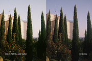 Kodak Portra 400 Warm — Lightroom, a Preset Add-On by colorituals (Thumbnail 6 of 9)