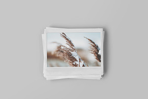 Instant Photo Mockup 4