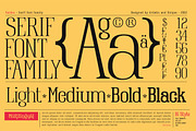 Raiden - Serif font family, a Serif Font by Artistic & Unique (Thumbnail 3 of 13)