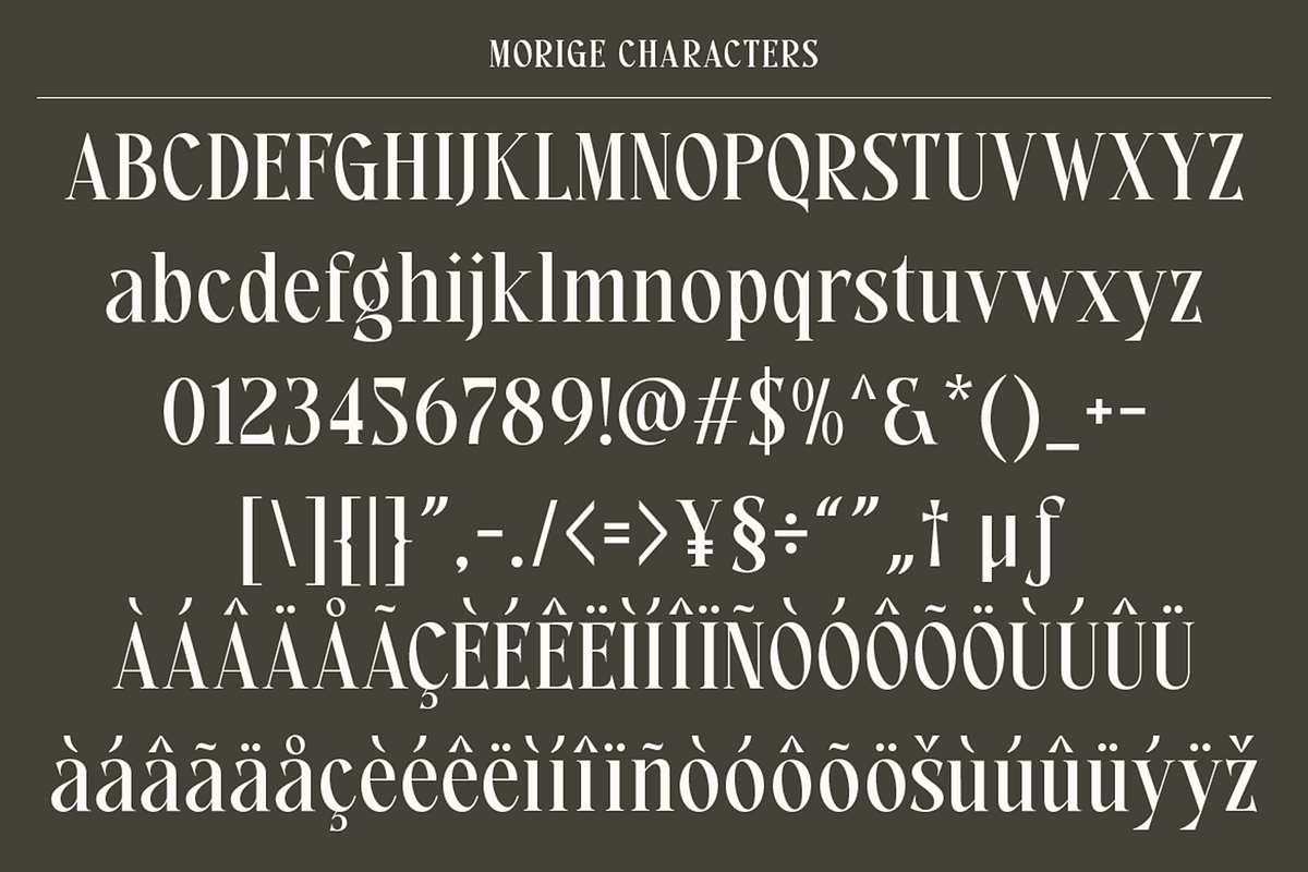 Morige - Elegant Serif Display, a Serif Font by roomspace creative lab (Photo 9 of 10)