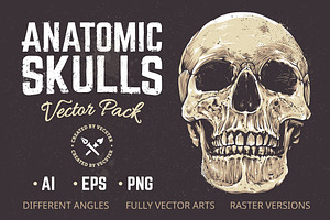 Anatomic Skulls | Vector Pack
