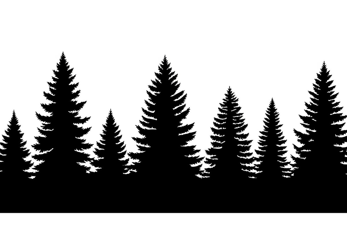 Woodland & Forest Tree Silhouettes B, an Illustration by jahid234 (Photo 39 of 41)